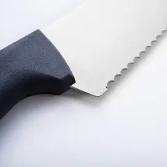 Gastro Şef Bıçağı Dişli 25 cm