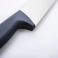 Gastro Kasap Bıçağı No.5 25 cm