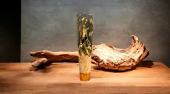 HAZIR ŞEF BIÇAĞI KABZESİ -1